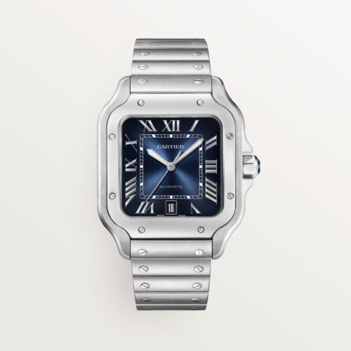 Cartier Santos Bleu