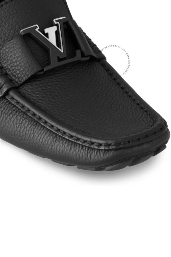 Monte Carlo Mocassin